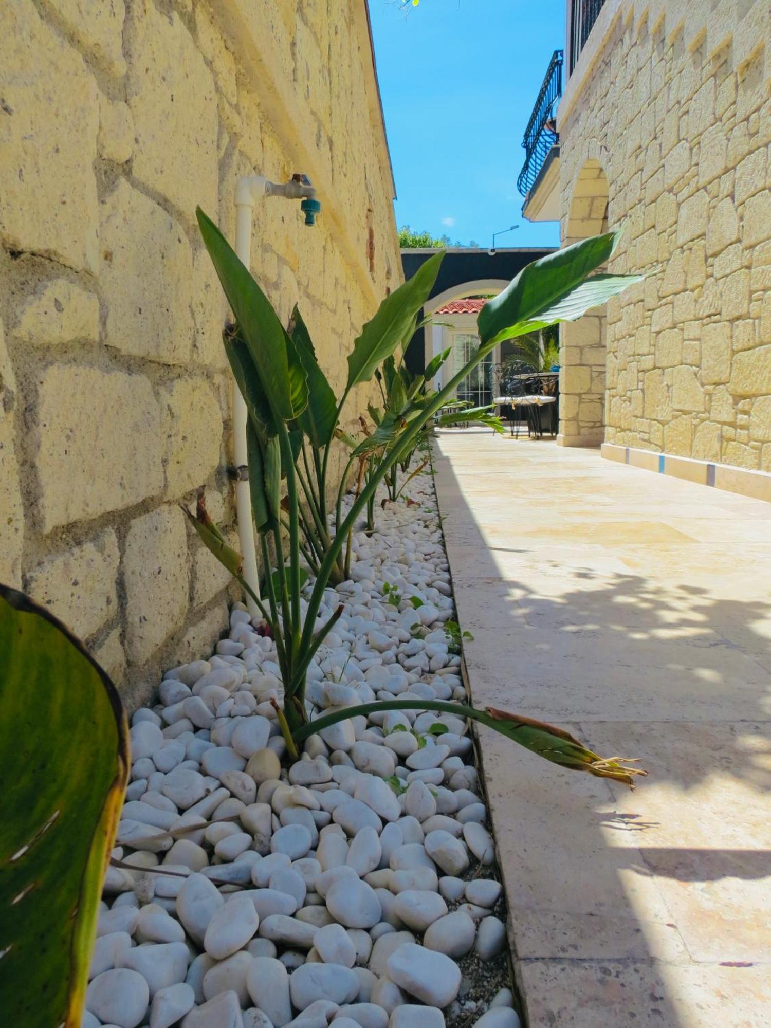Fedora Otel Αλακάτι Εξωτερικό φωτογραφία